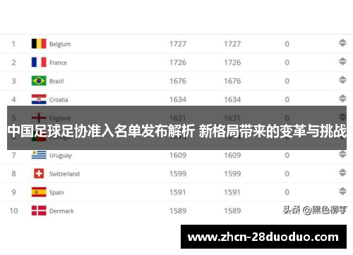 中国足球足协准入名单发布解析 新格局带来的变革与挑战