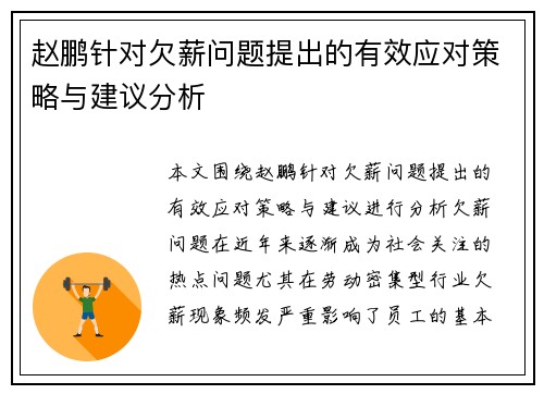 赵鹏针对欠薪问题提出的有效应对策略与建议分析